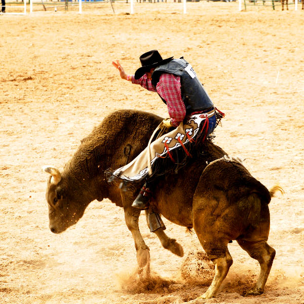 Mount Isa mount isa rodeo
