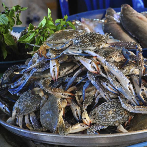 Muscat muscat-seafood-crabs