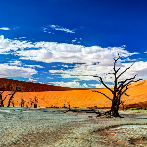 Namibia namibia surreal landscapes