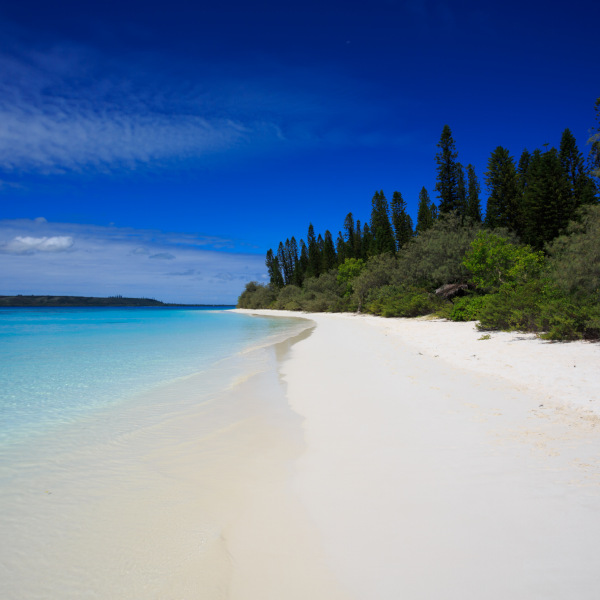 New Caledonia Tropical Beach Isle of Pines New Caledonia