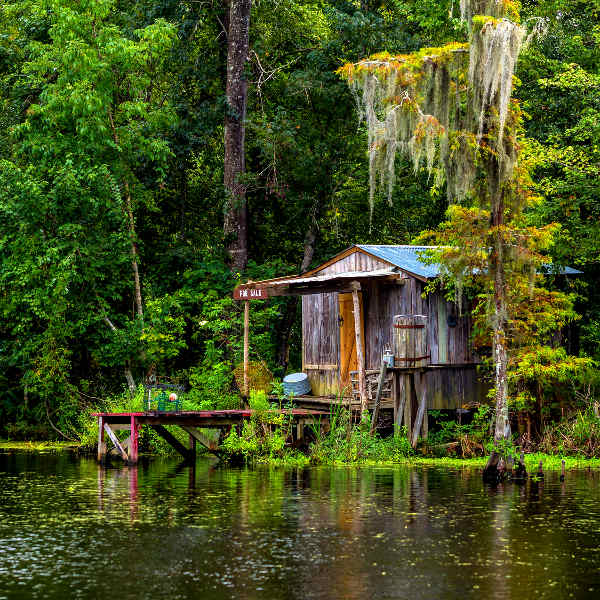 New Orleans new orleans swamp tours
