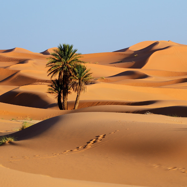 Nouakchott nouakchott desert