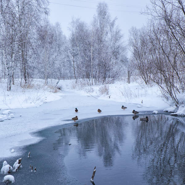 Novosibirsk winter wonderland
