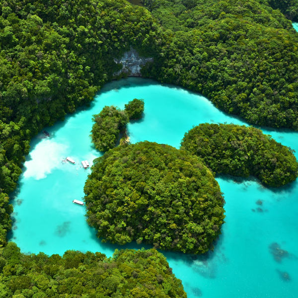 Palau palau milky way