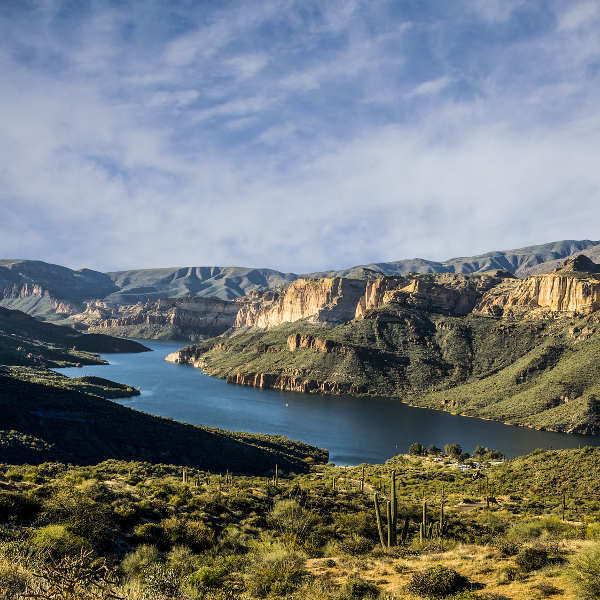 Phoenix phenomenal landscapes