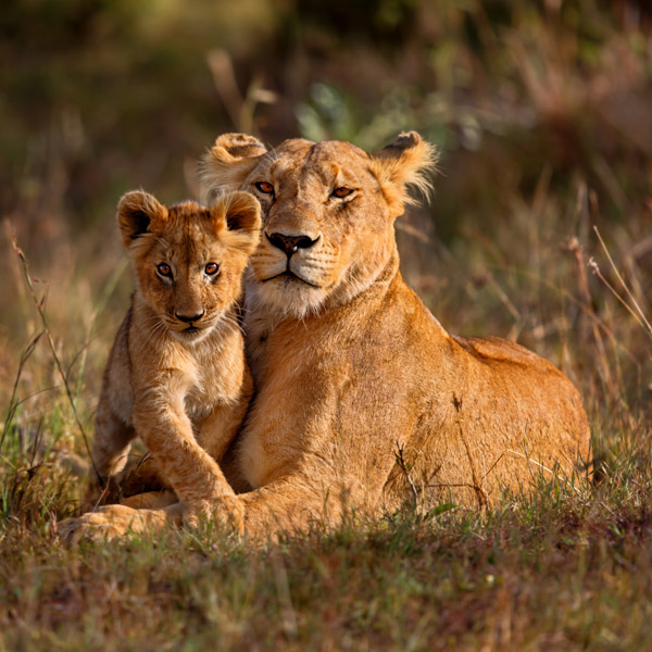Pietermaritzburg Nature and Wildlife