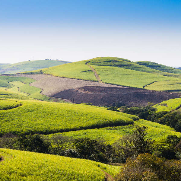 Pietermaritzburg rolling landscapes