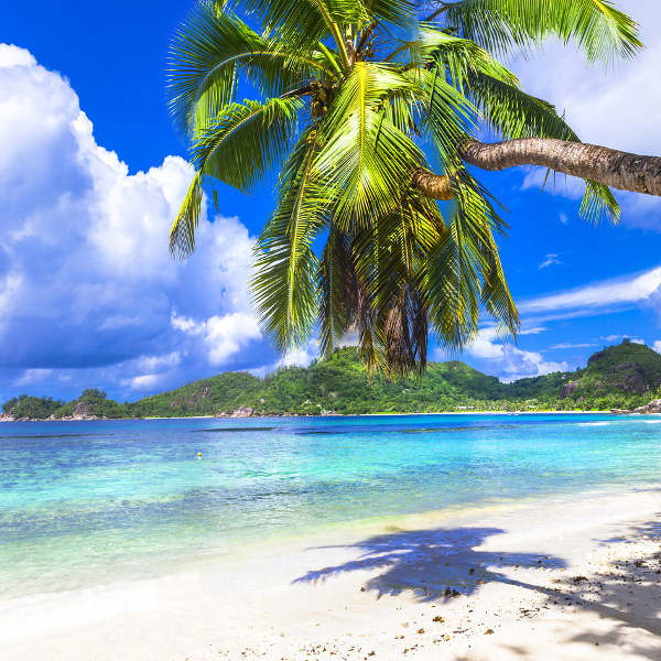 Praslin Island iconic beaches