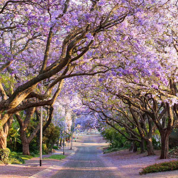 Pretoria Nature and Parks