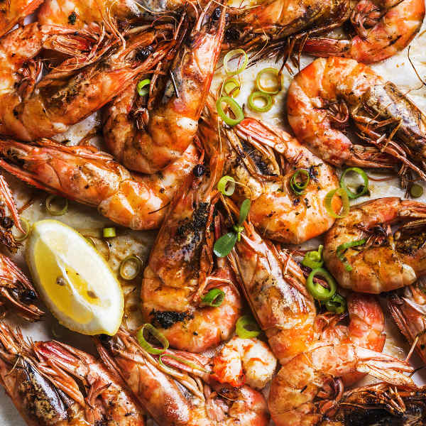 Quelimane quelimane mozambican cuisine