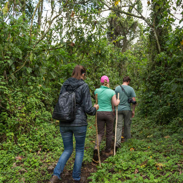 Republic of the Congo eco-tours and adventures