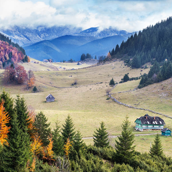 Romania Romania Nature