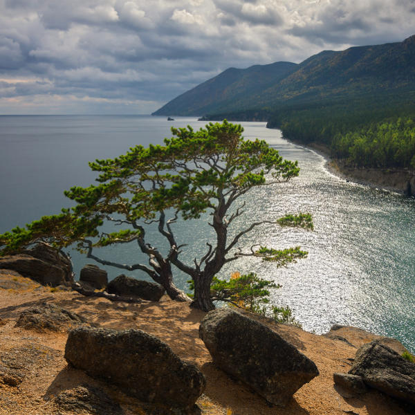 Russia Russia Nature