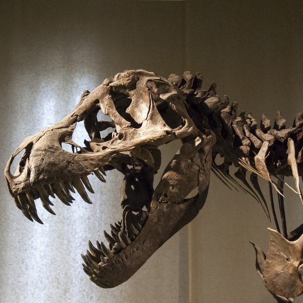 Salt Lake City natural-museum-saltlakecity