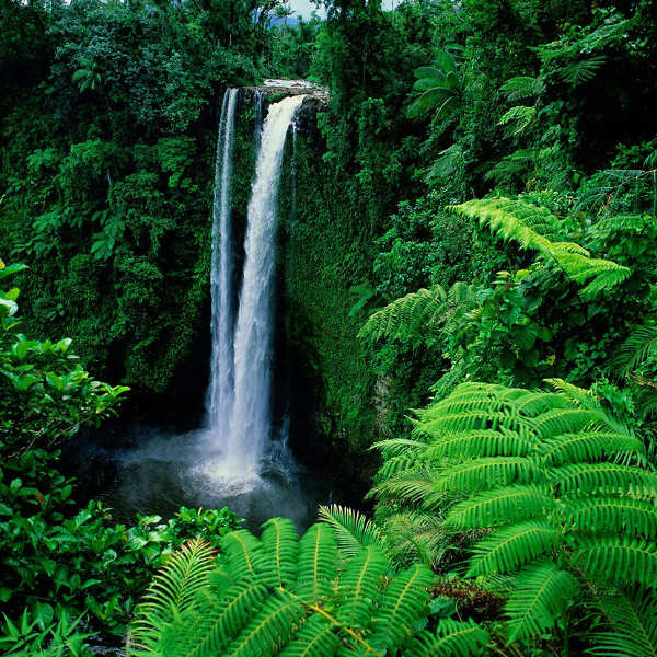 Samoa waterfallls
