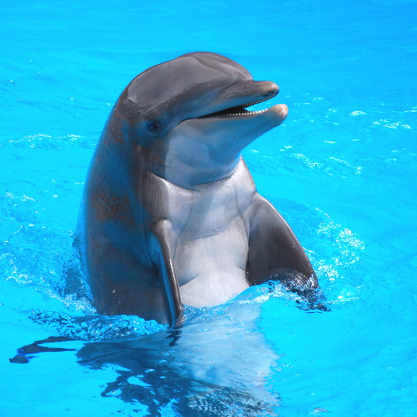 San Antonio SeaWorld San Antonio