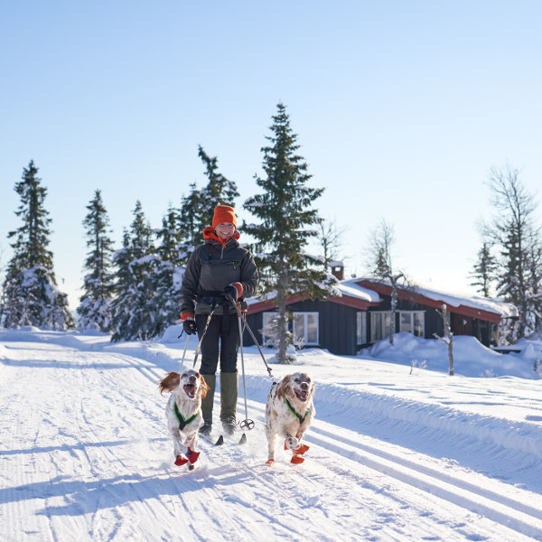 Sandefjord Outdoor Activities