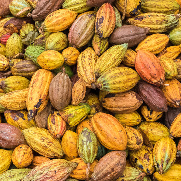 São Tomé and Príncipe sao tome and principe chocolate