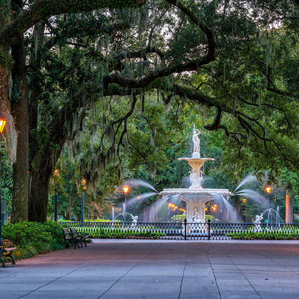 Savannah trees water fountain