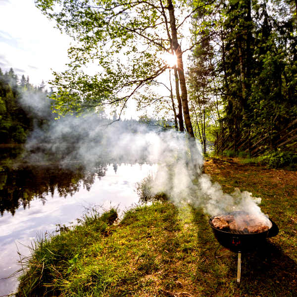 Savonlinna savonlinna nordic beauty