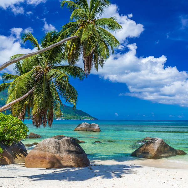 Seychelles Seychelles Beach