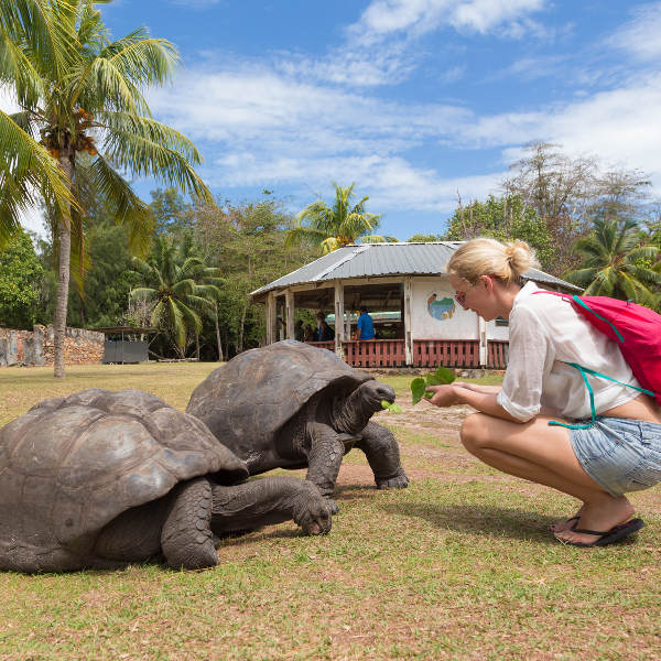 Seychelles Seychelles Wildlife