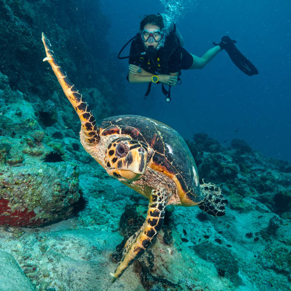Seychelles Seychelles Outdoor Activities