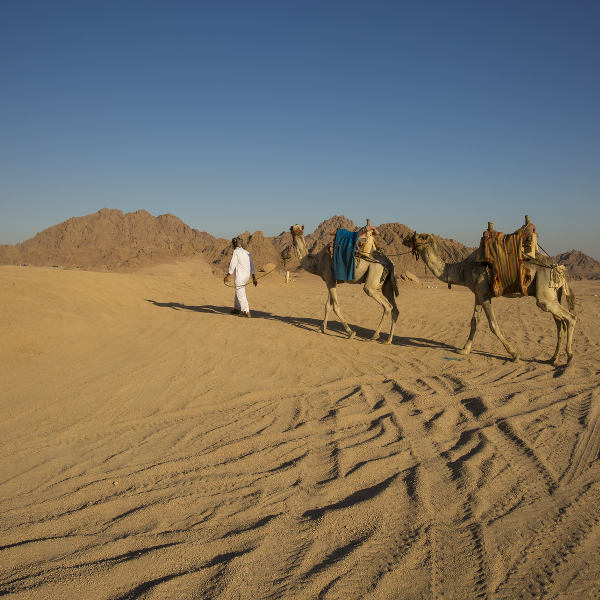 Sharm el-Sheikh desert safari