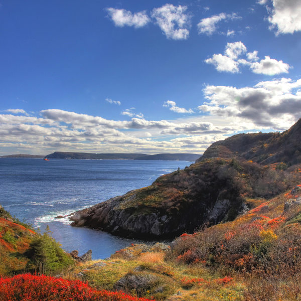 St. John's Bay Viddi Quiddi St. John's