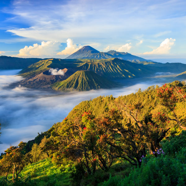 Surabaya surabaya mount bromo