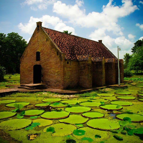 Suriname suriname interesting history