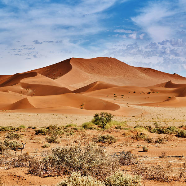 Swakopmund desert blue sky