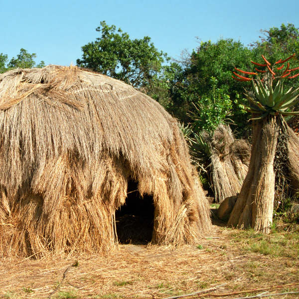 Swaziland swaziland-rural-village