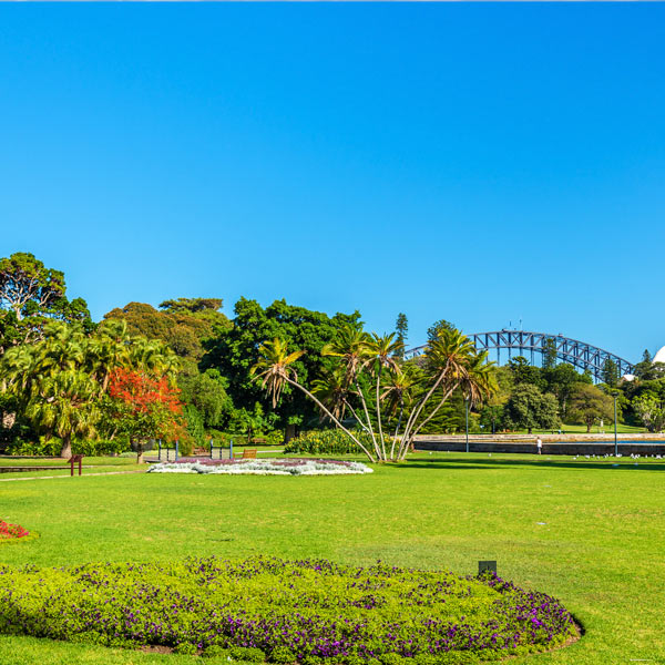 Sydney Royal Botanic Garden Sydney