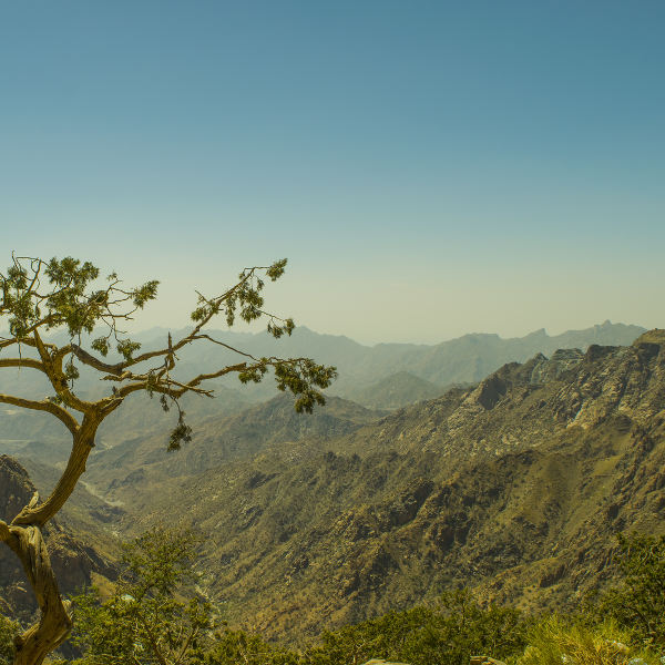 Ta'if mountain desert taif