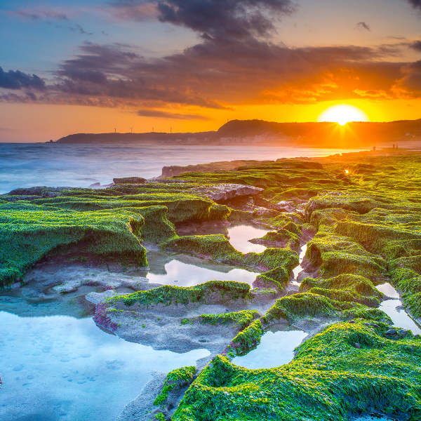 Taiwan Taiwan Nature