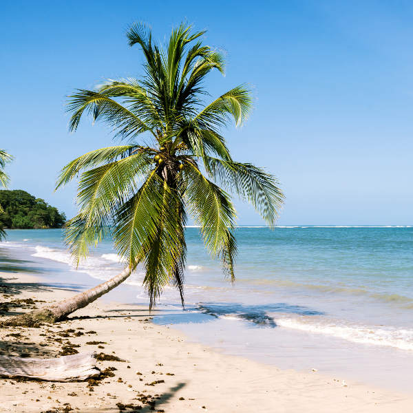 Tamarindo tamarindo-beaches