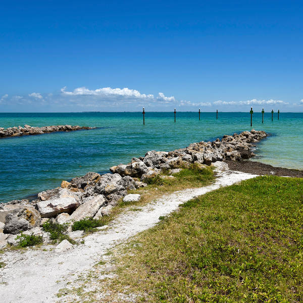 Tampa View of Tampa Bay
