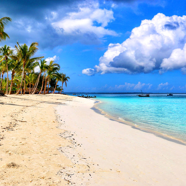 Tanzania tanzania tropical islands