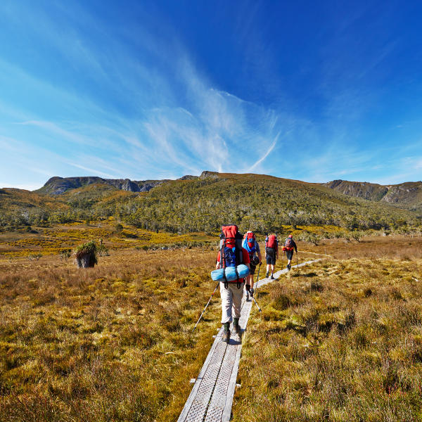 Tasmania hiking nature