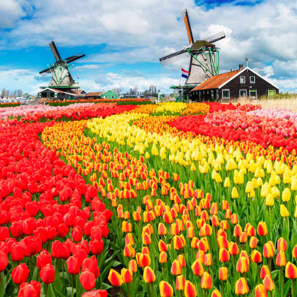 The Netherlands scenic landscapes and gardens