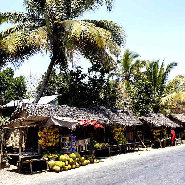 Toliara toliara rustic charm