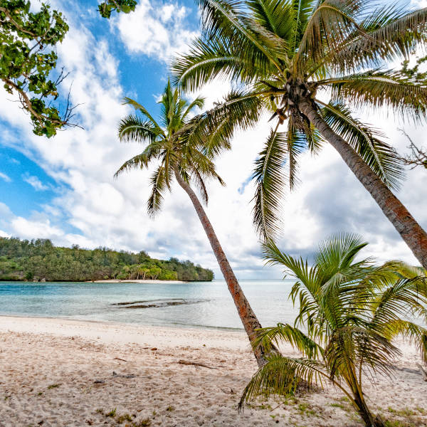 Tonga Tonga Vavua Landscape