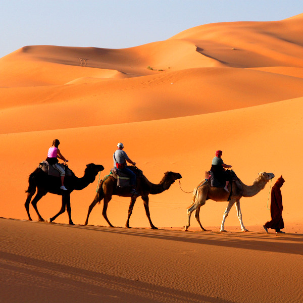 Tunisia tunisia camel safaris