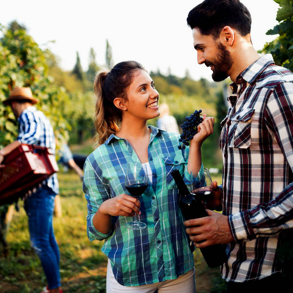 Uruguay uruguay uruguayan wine