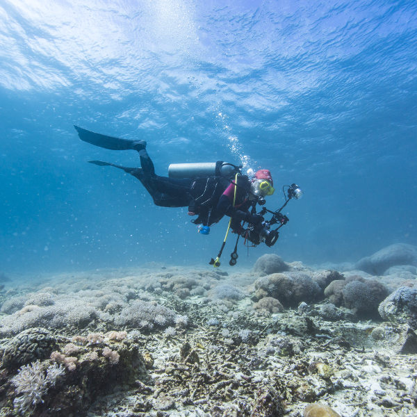 Vanuatu Vanuatu Scuba Diving