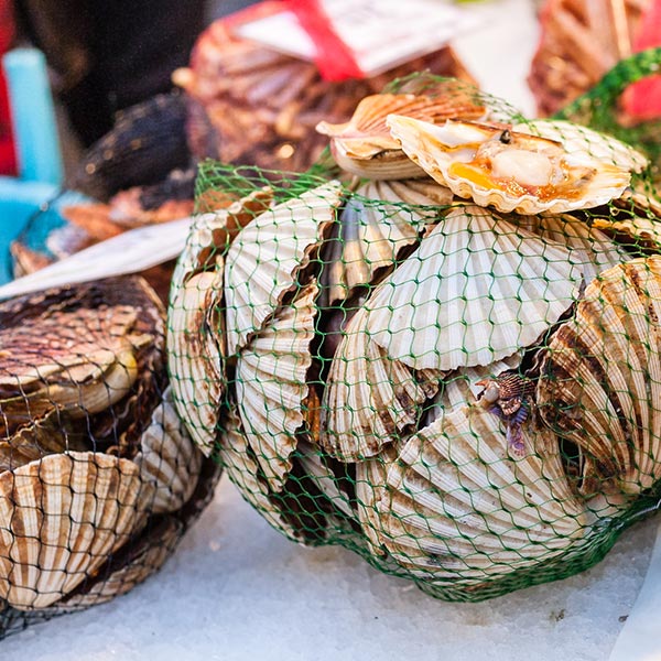 Venice Venice Food