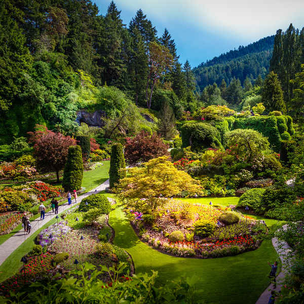 Victoria victoria butchart gardens