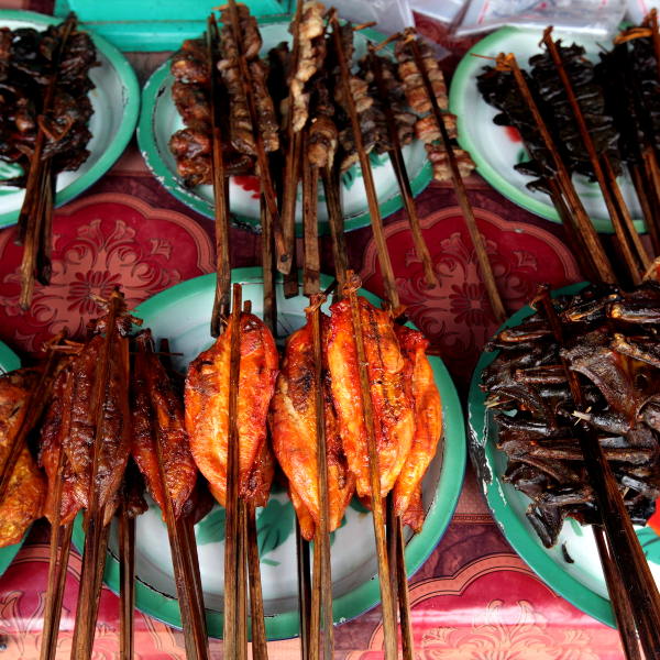 Vientiane vientiane street food markets