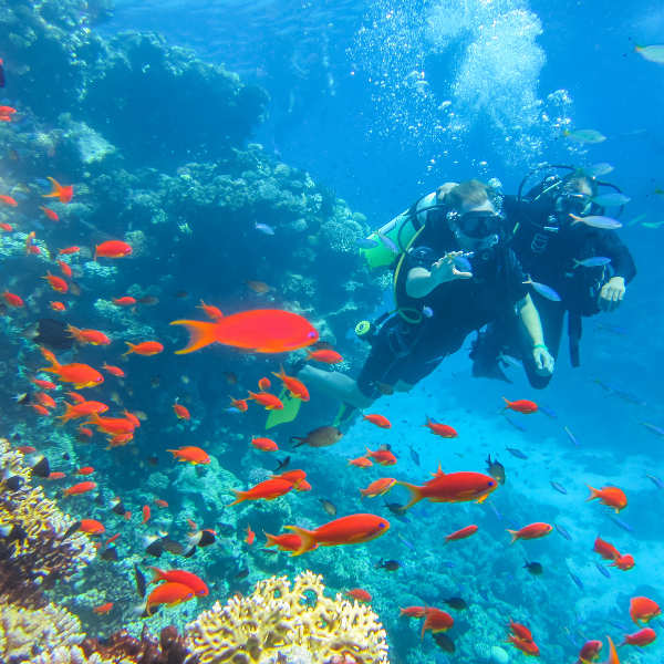 Vilanculos underwater adventures